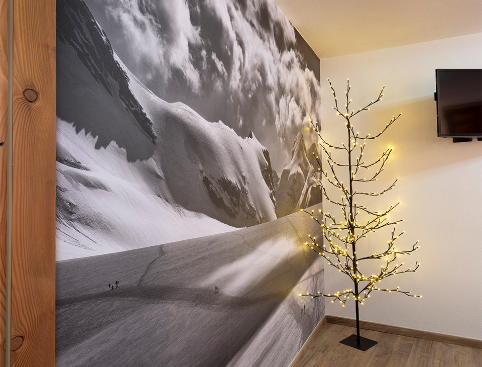 Appartamenti ad uso turistico valtournenche